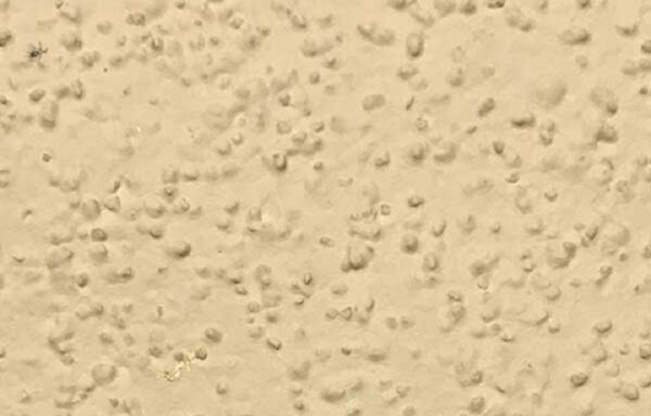 Graniplast